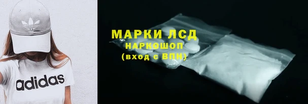 ПСИЛОЦИБИНОВЫЕ ГРИБЫ Алексин